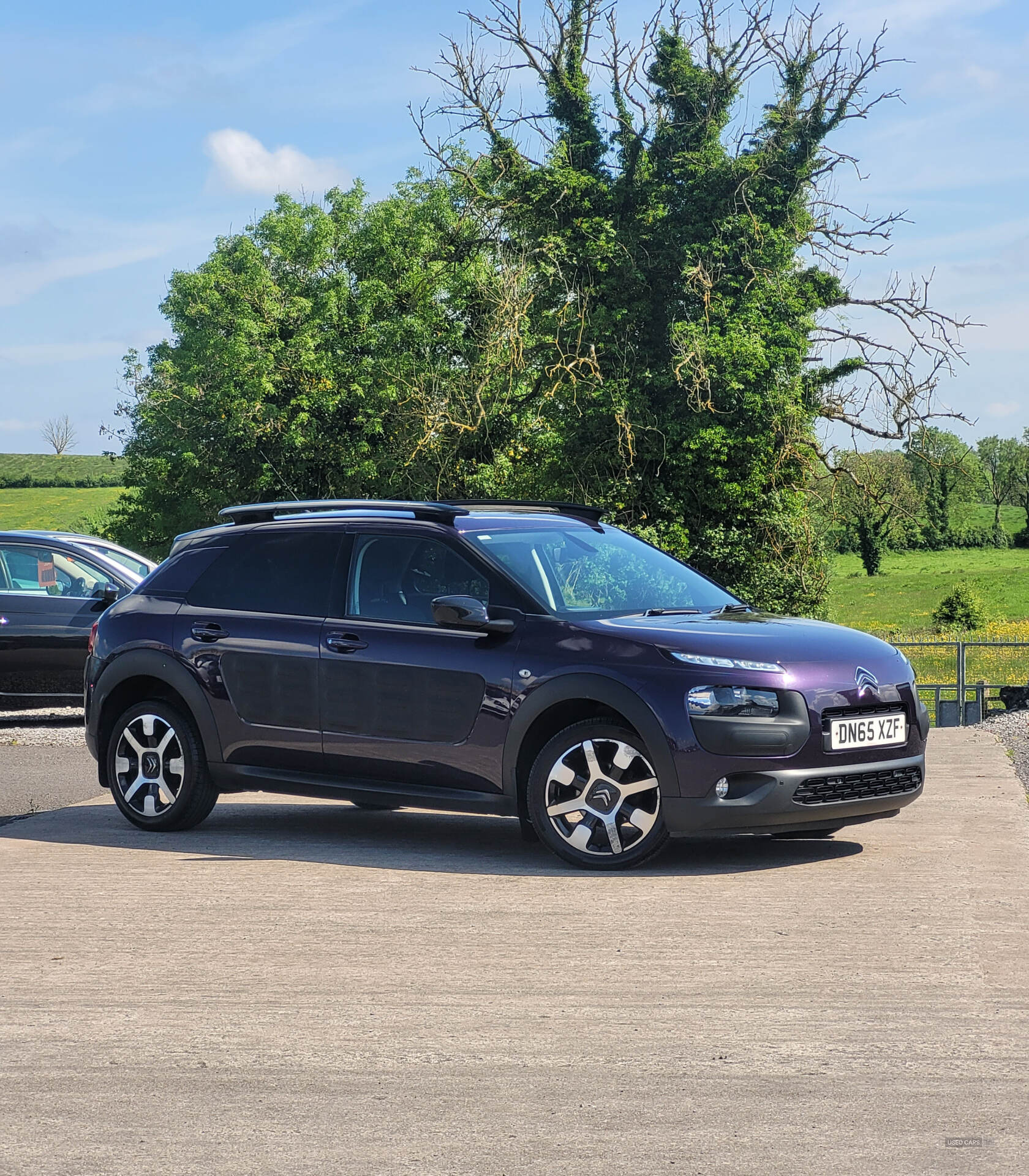 Citroen C4 Cactus DIESEL HATCHBACK in Fermanagh