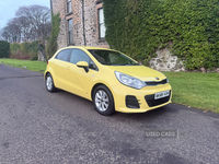 Kia Rio HATCHBACK SPECIAL EDITIONS in Antrim