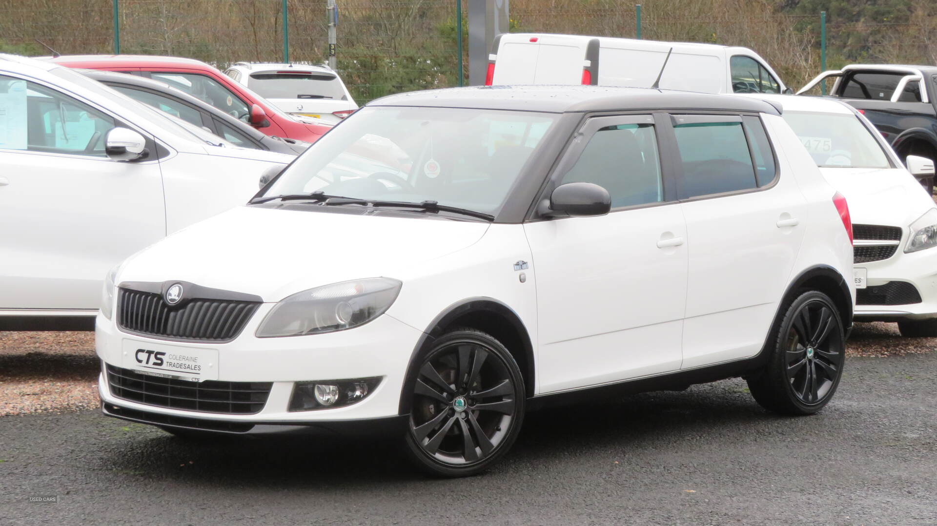 Skoda Fabia HATCHBACK in Derry / Londonderry