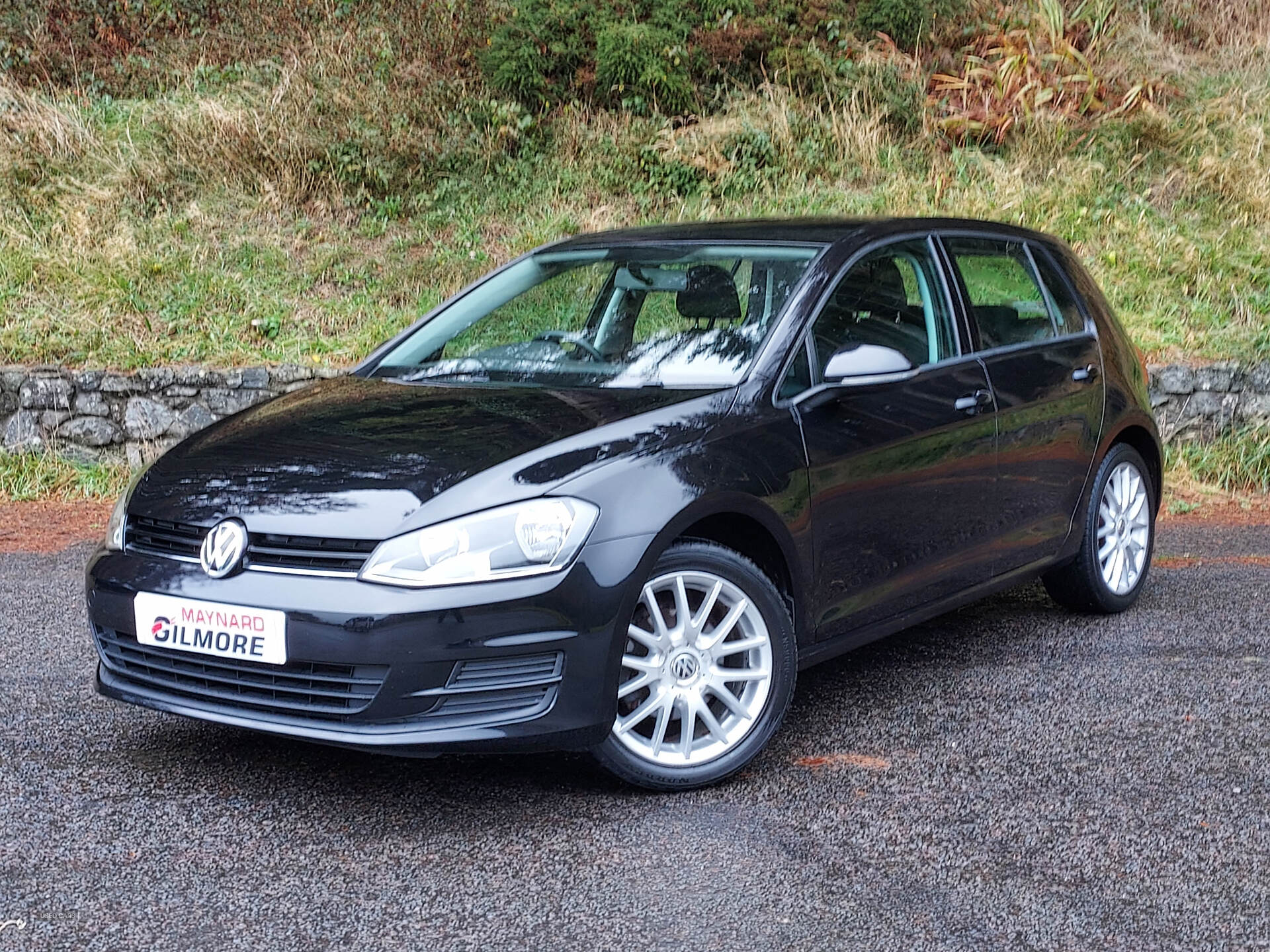 Jun 2015 Volkswagen Golf 1.6 TDI 105 S 5dr