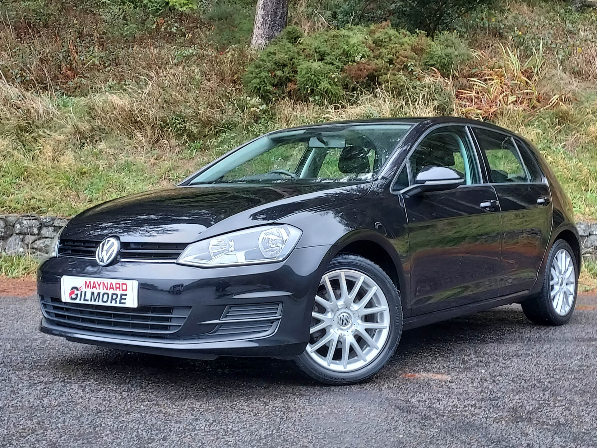 Jun 2015 Volkswagen Golf 1.6 TDI 105 S 5dr