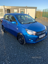 Suzuki Celerio HATCHBACK in Armagh