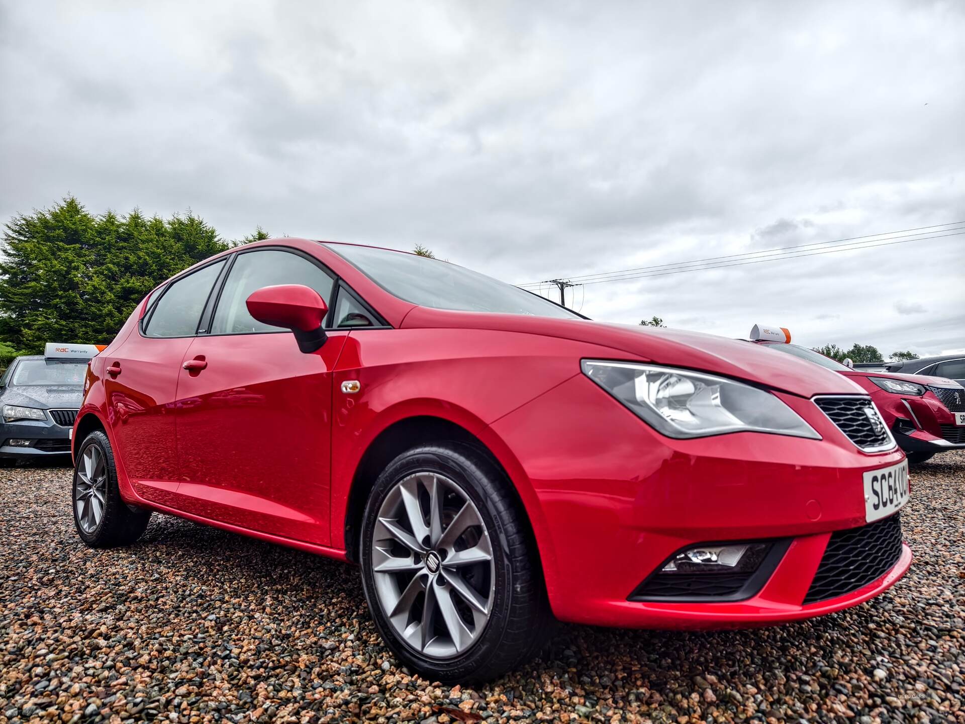 Seat Ibiza HATCHBACK SPECIAL EDITION in Fermanagh