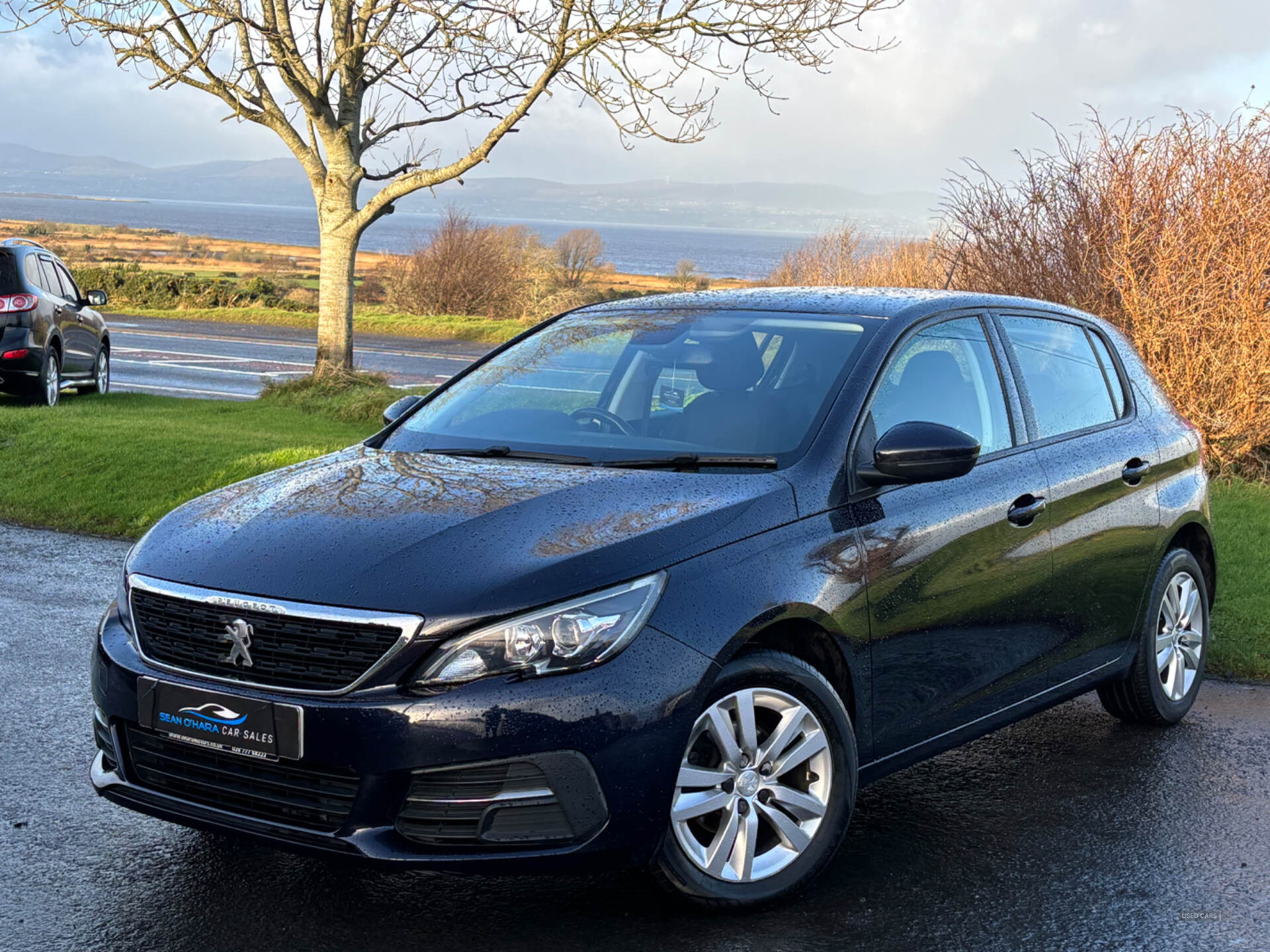 Peugeot 308 DIESEL HATCHBACK in Derry / Londonderry