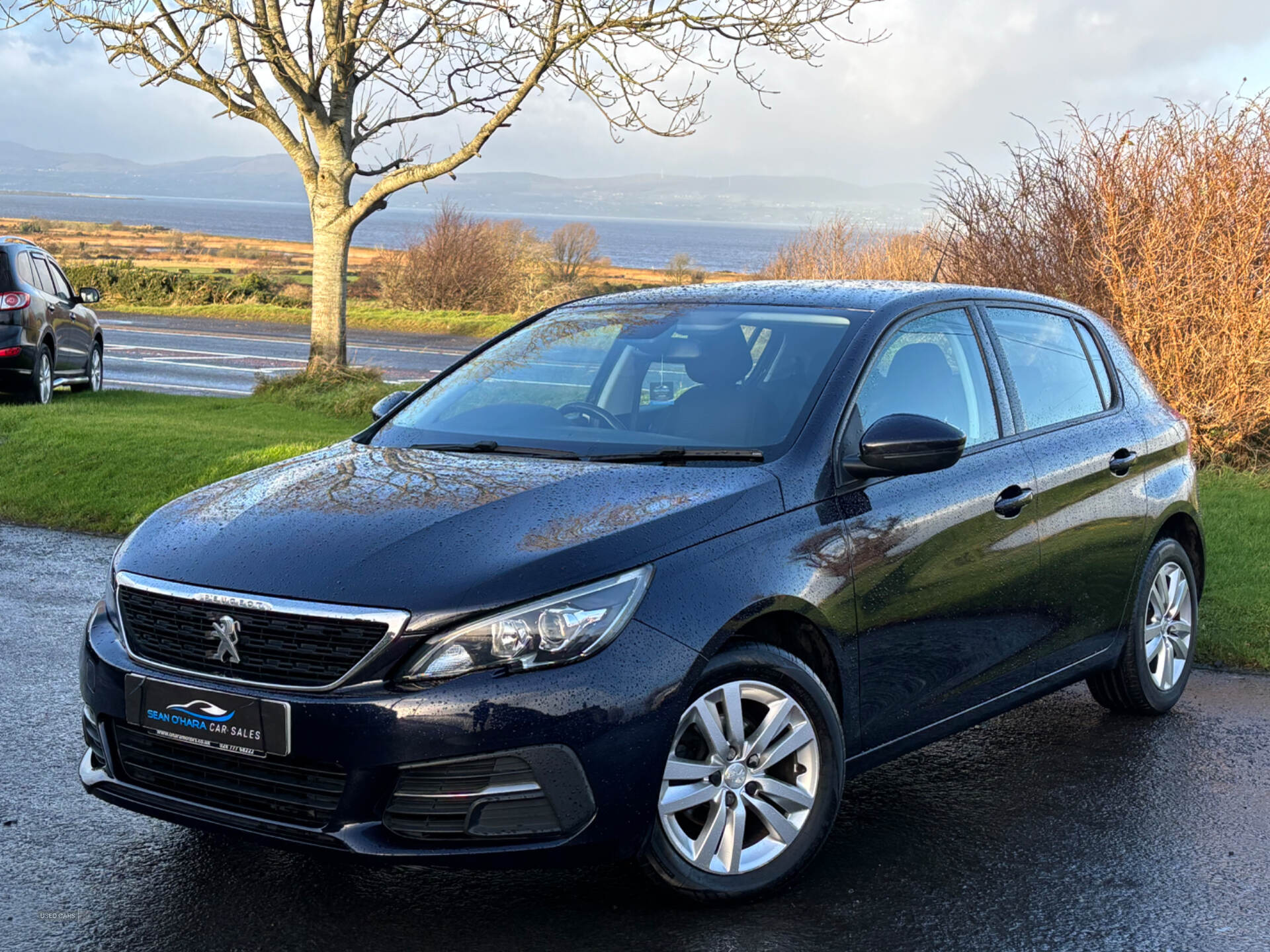 Peugeot 308 DIESEL HATCHBACK in Derry / Londonderry