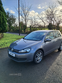 Volkswagen Golf 1.6 TDi 105 SE 5dr in Tyrone