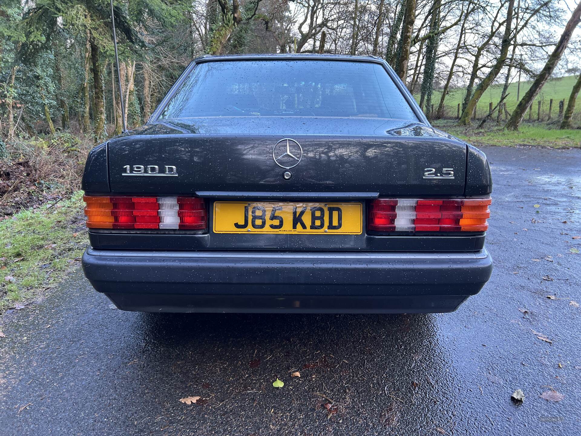 Mar 1992 Mercedes 190 190D 2.5 4dr Auto