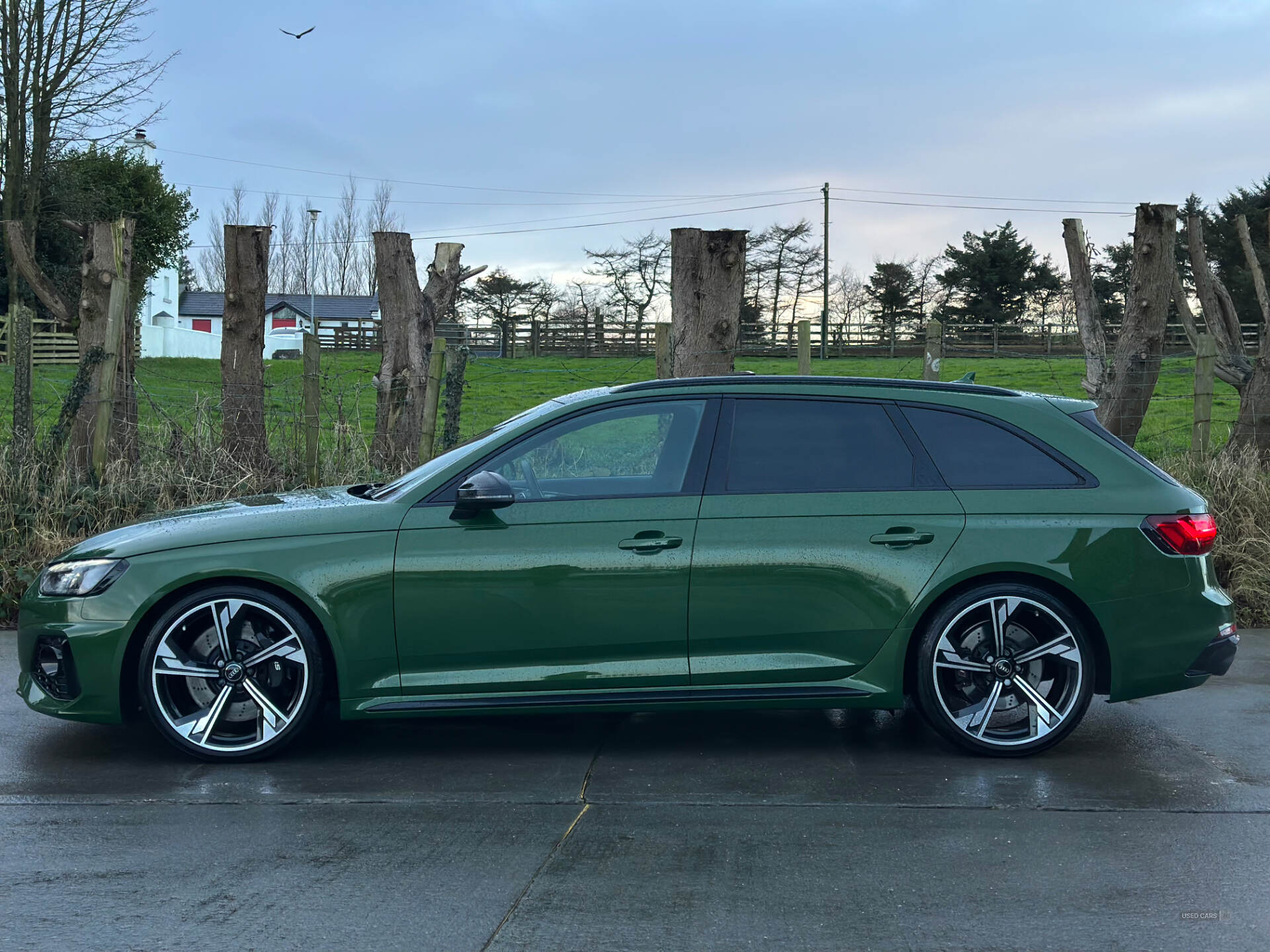 Audi RS4 AVANT in Antrim