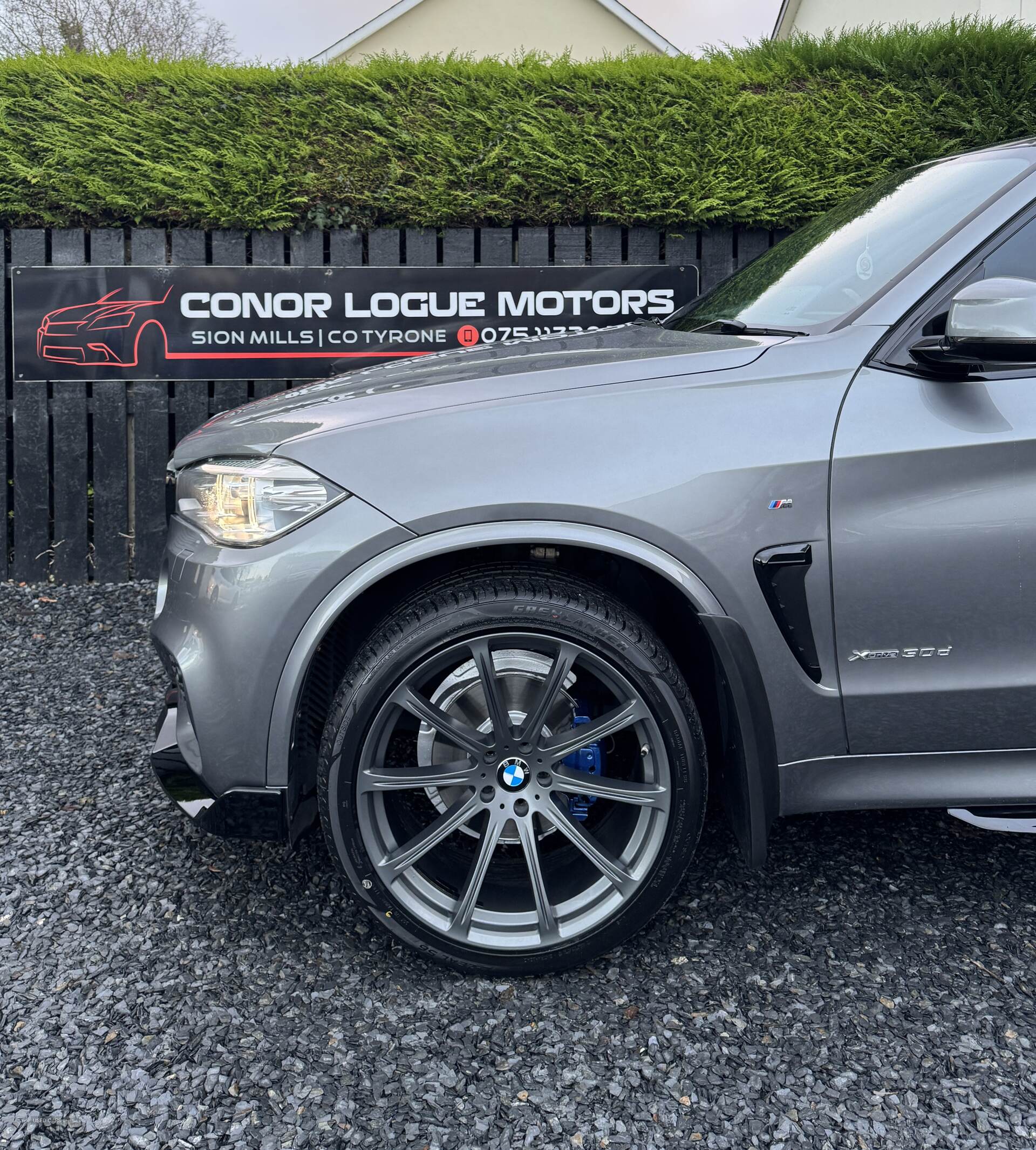 BMW X5 DIESEL ESTATE in Tyrone