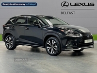 Lexus NX-Series 2.5 Premium Sport Edition 5Dr Cvt in Antrim