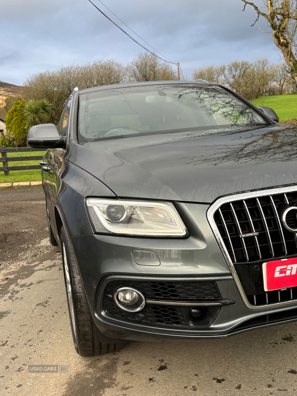 Audi Q5 ESTATE SPECIAL EDITIONS in Tyrone