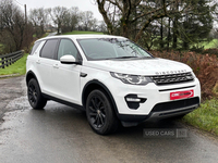 Land Rover Discovery Sport DIESEL SW in Tyrone