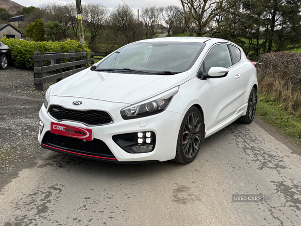 Kia Pro Ceed HATCHBACK in Tyrone