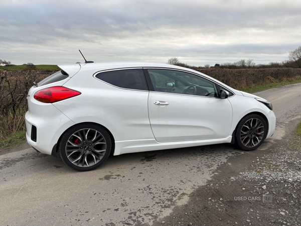 Kia Pro Ceed HATCHBACK in Tyrone