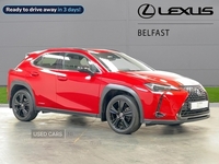 Lexus UX 250H 2.0 5Dr Cvt [Premium Sport Edition] in Antrim