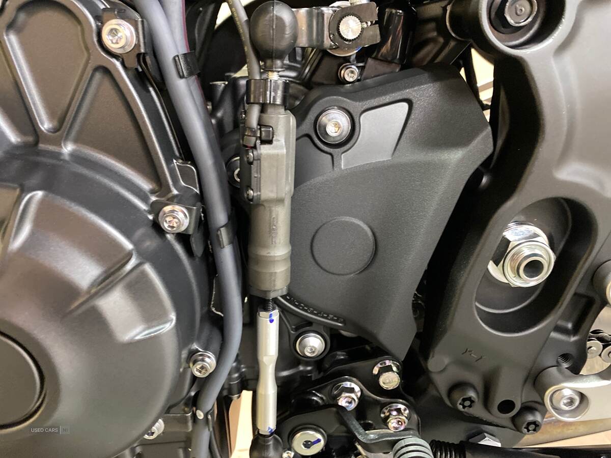  2025 Yamaha Tracer series Tracer 9 GT+ (24MY), Special Offer
