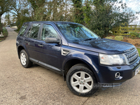 Land Rover Freelander DIESEL SW in Fermanagh