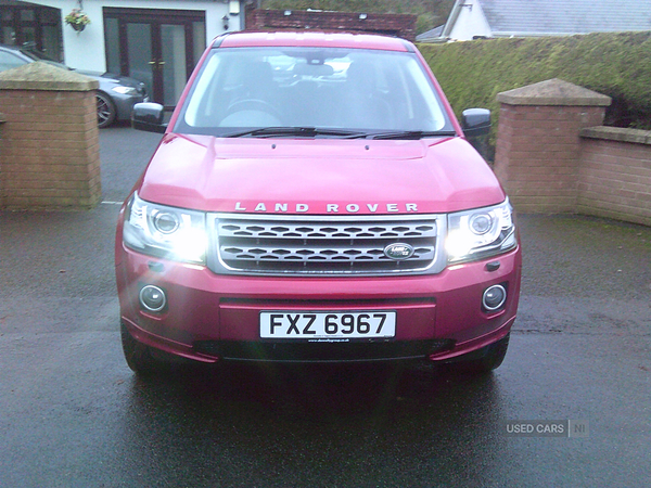 Land Rover Freelander DIESEL SW in Fermanagh