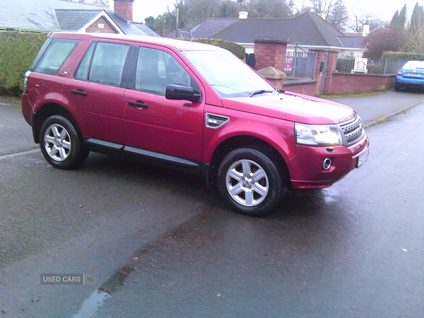 Land Rover Freelander DIESEL SW in Fermanagh