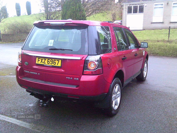 Land Rover Freelander DIESEL SW in Fermanagh