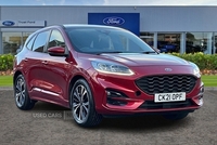 Ford Kuga 1.5 EcoBlue ST-Line X 5dr in Antrim