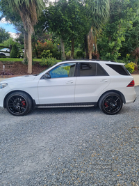 Mercedes GLE-Class GLE 250d 4Matic AMG Line 5dr 9G-Tronic in Tyrone