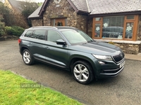 Skoda Kodiaq 2.0 TDI 190 Edition 4x4 5dr DSG [7 Seat] in Antrim