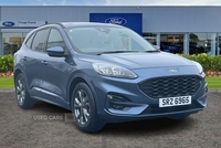 Ford Kuga 1.5 EcoBlue ST-Line 5dr Auto in Armagh