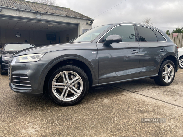 Audi Q5 DIESEL ESTATE in Down