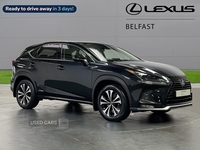 Lexus NX-Series 2.5 Premium Sport Edition 5Dr Cvt [Pan Roof] in Antrim