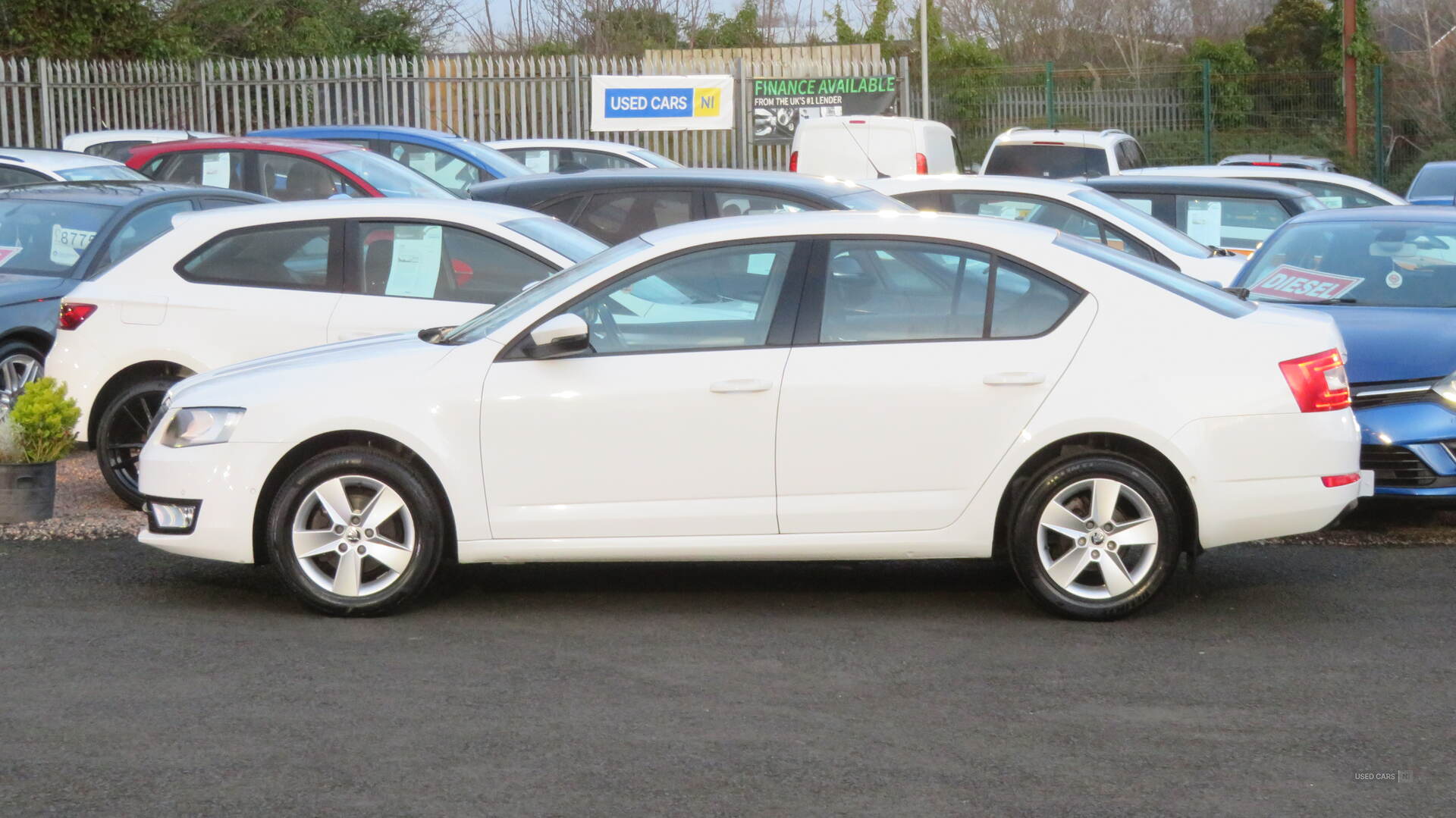 Skoda Octavia DIESEL HATCHBACK in Derry / Londonderry