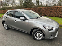 Mazda 2 HATCHBACK in Armagh