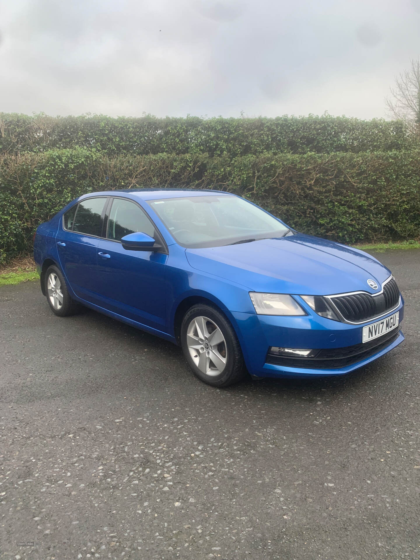 Skoda Octavia DIESEL HATCHBACK in Down