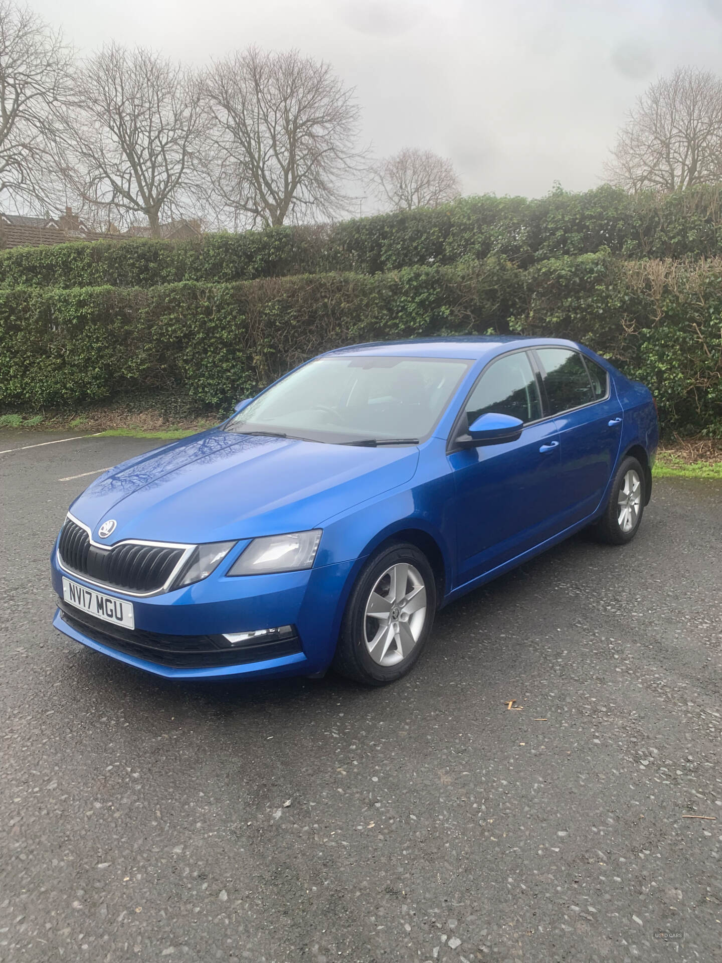 Skoda Octavia DIESEL HATCHBACK in Down