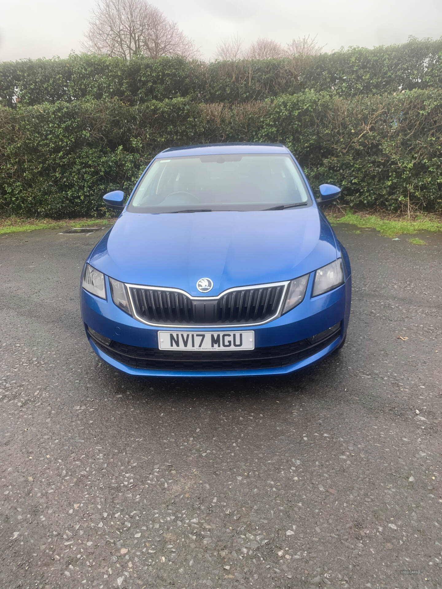 Skoda Octavia DIESEL HATCHBACK in Down