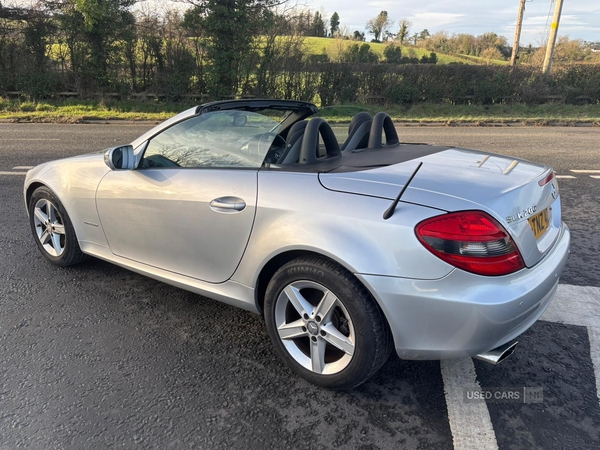 Mercedes SLK-Class ROADSTER in Down