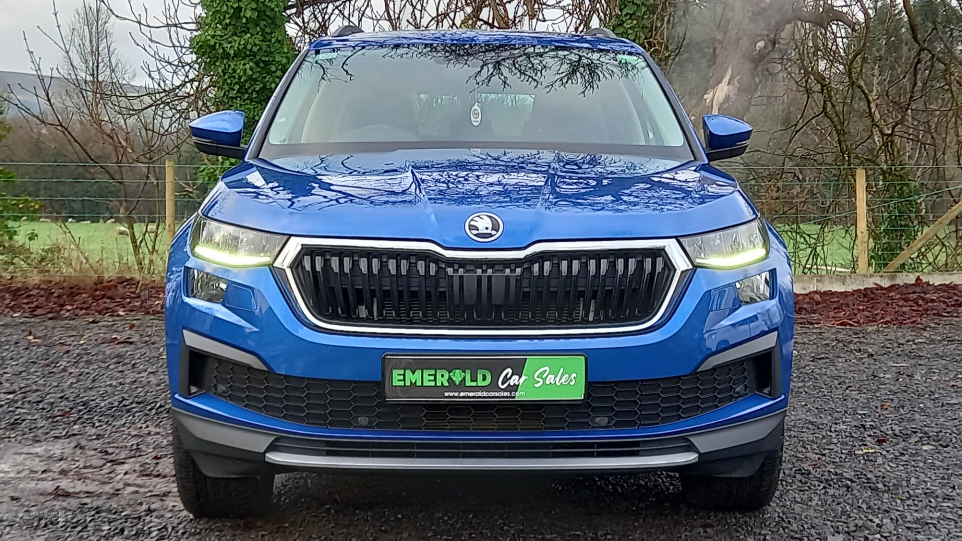 Skoda Kodiaq DIESEL ESTATE in Tyrone