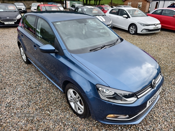 Volkswagen Polo HATCHBACK in Fermanagh