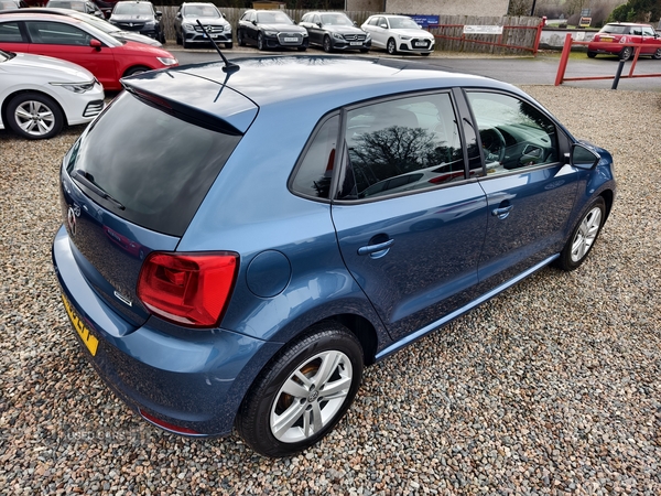 Volkswagen Polo HATCHBACK in Fermanagh