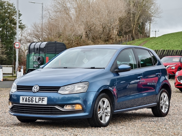 Volkswagen Polo HATCHBACK in Fermanagh