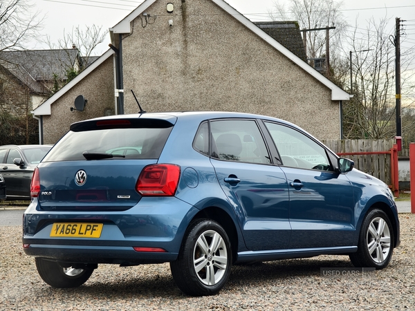 Volkswagen Polo HATCHBACK in Fermanagh