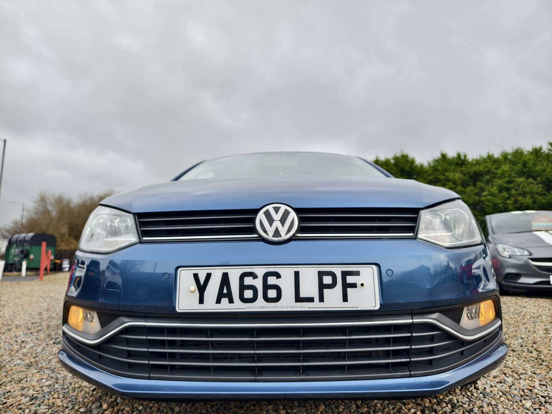 Volkswagen Polo HATCHBACK in Fermanagh