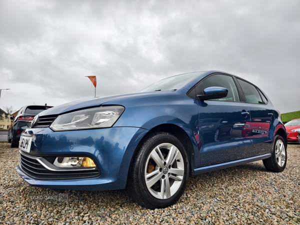 Volkswagen Polo HATCHBACK in Fermanagh