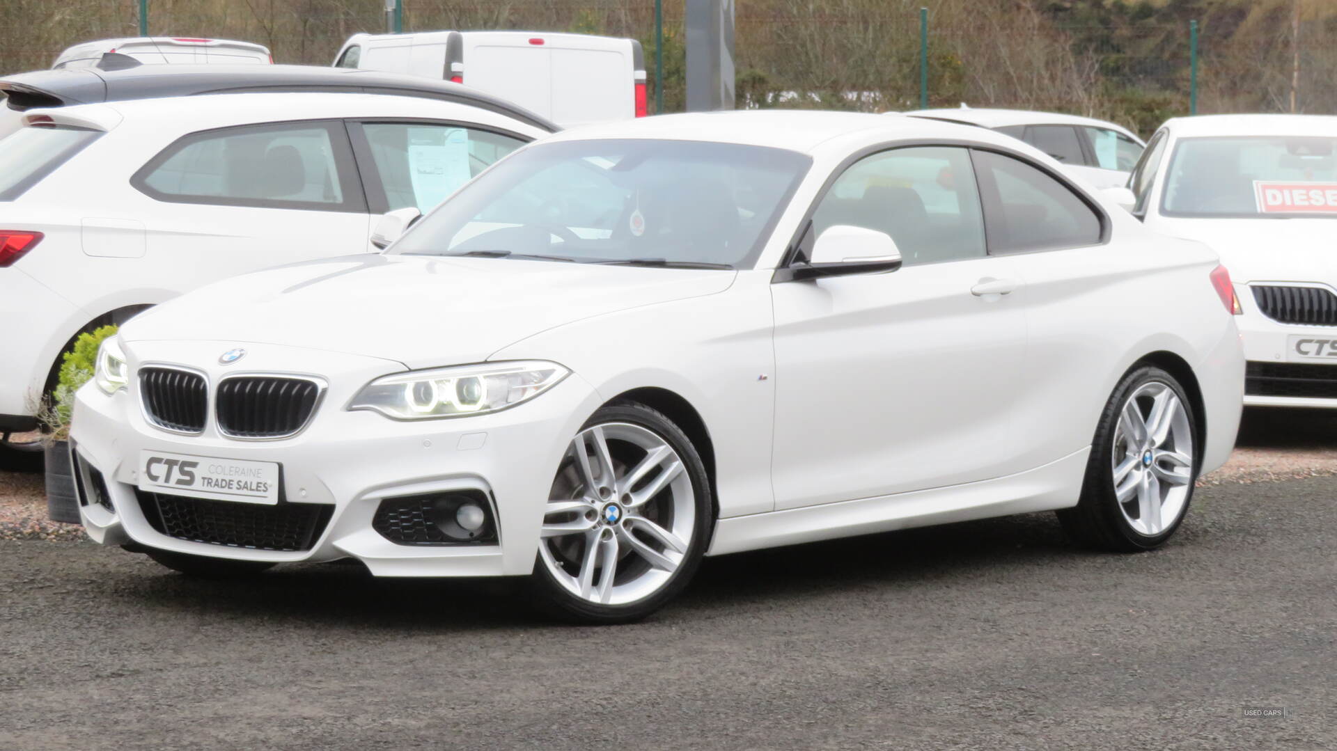 BMW 2 Series DIESEL COUPE in Derry / Londonderry