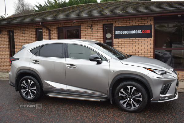 Lexus NX-Series in Antrim