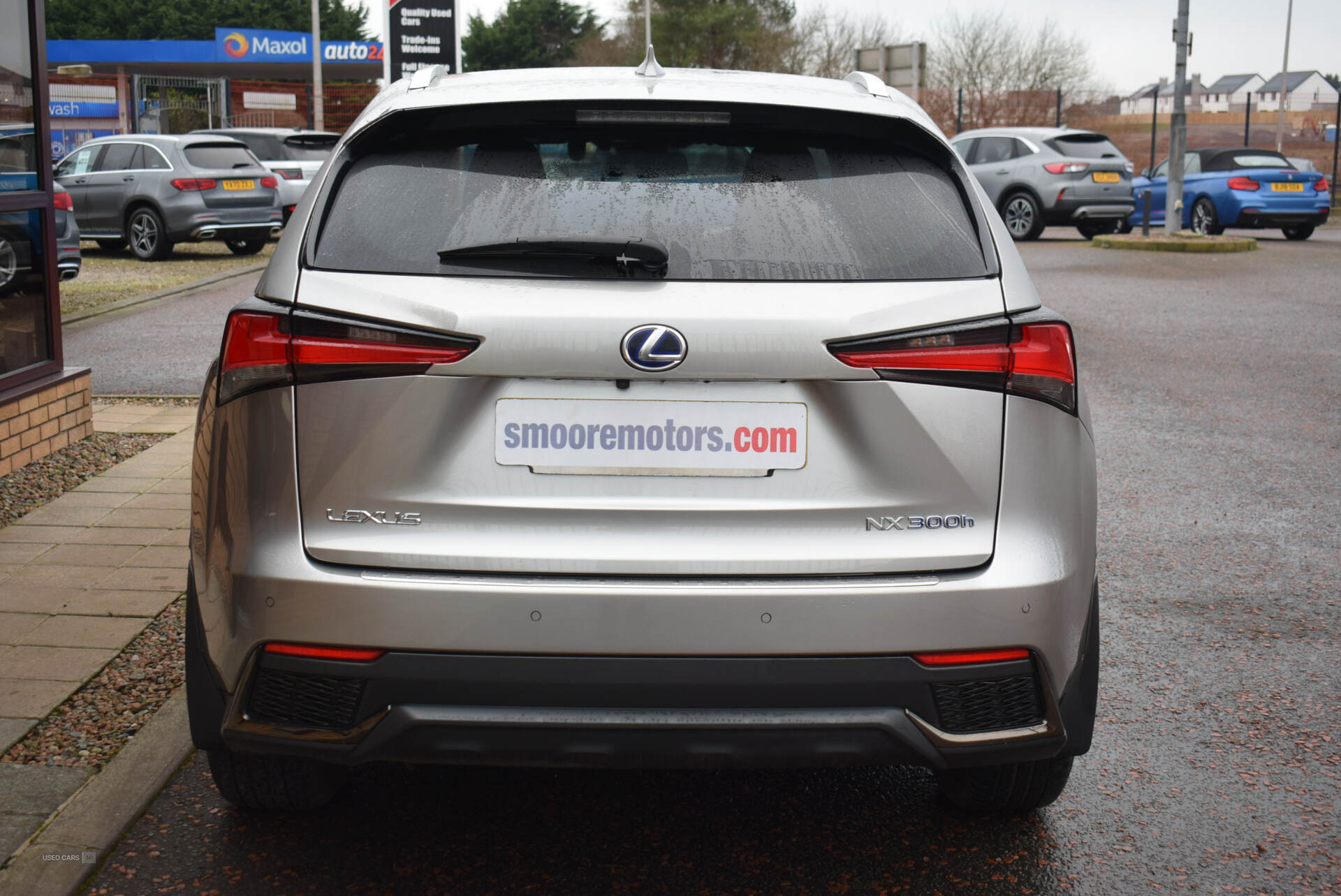 Lexus NX-Series in Antrim