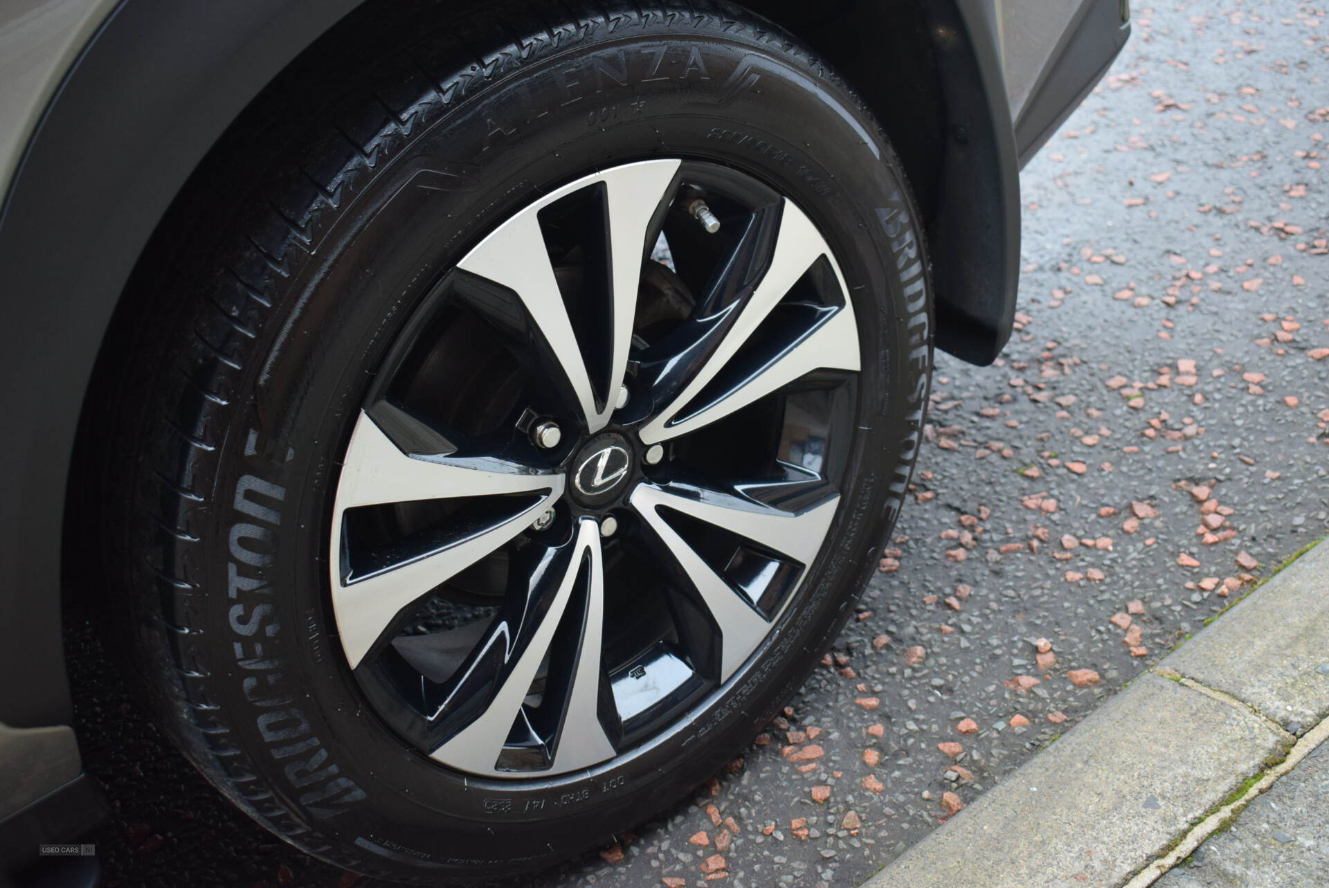 Lexus NX-Series in Antrim