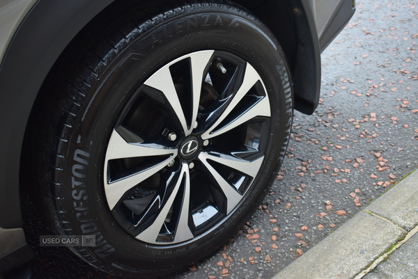 Lexus NX-Series in Antrim