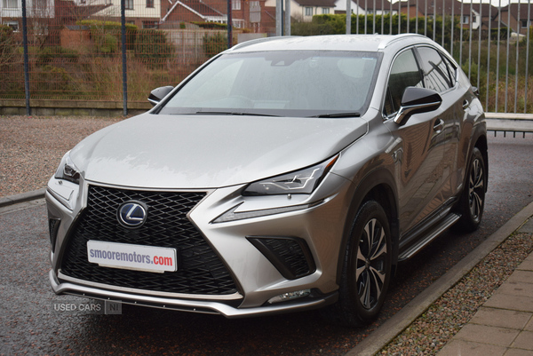 Lexus NX-Series in Antrim