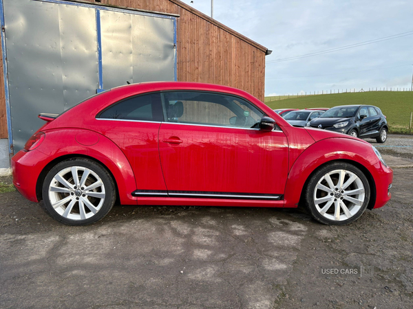 Volkswagen Beetle DIESEL HATCHBACK in Tyrone